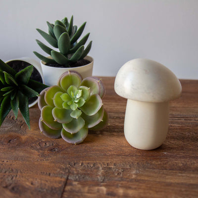 Soapstone Mushroom Box in Natural Stone