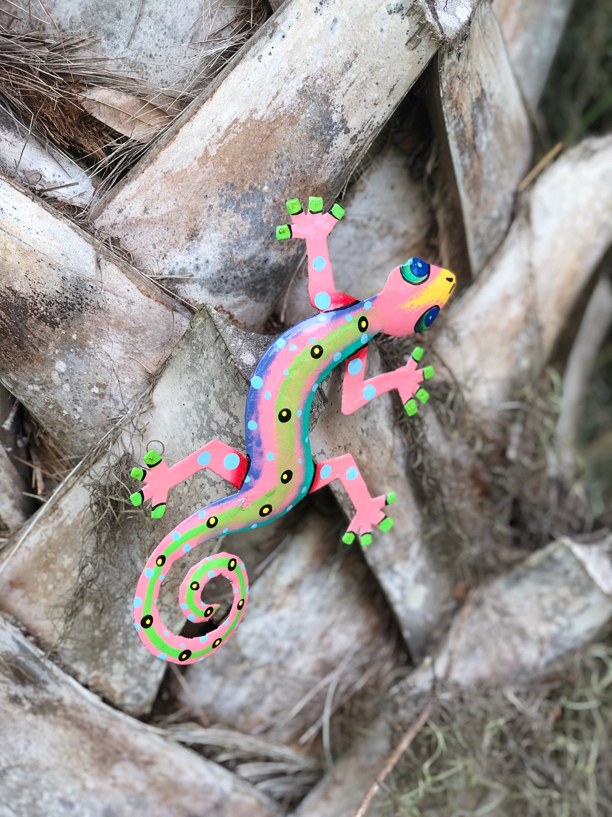 Colorful Gecko Haitian Steel Drum Wall Art, 13 inch Polka Dots Global  Crafts Wholesale